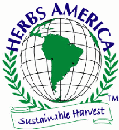 _herbs-america_com_images_bigherbslogo.gif