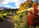 _blair-castle_co_uk_images_new_grounds_int.jpg