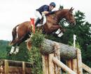 _explore-highland-perthshire_com_attractions_blair-castle-horse-trials.jpg