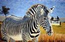 _africansafarikenya_com_images_safari-tours-in-kenya_grevy-zebra-laikipia-luxury-in-the-bush-safari.jpg