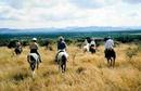 _africansafarikenya_com_images_safari-tours-in-kenya_laikipia-luxury-in-the-bush-safari.jpg