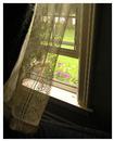 _bushbedandbreakfast_com_images_photopage_bb_stanely_window.jpg