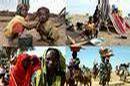 _brendoman_com_media_Darfur.jpg