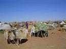 _interfaithnews_net_darfur_images_camp-usaid.jpg