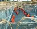 _spacewar_com_images_terrorwar-guantanamo-bay-inmates-bg.jpg