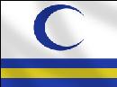 _back-to-iraq_com_archives_Files__40096569_iraq_new_flag3_203.gif