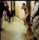 _villagevoice_com_blogs_bushbeat_archive_images_iraq-torture-dogs-thumb.jpg