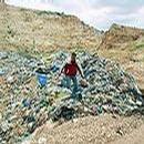 _catdestroyshomes_org_img_original_israel-landfill.jpg