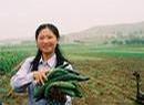 _foodfirst_org_images_NK_farmer.jpg