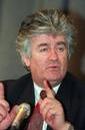 french_epochtimes_com_news_images_2005-2-5-2005-2-5-karadzic-small-resolution.jpg