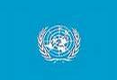 _hatsofflynden_com_images_Flags_Of_The_World_United_Nations.JPG