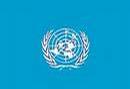 _hatsofflynden_com_images_Flags_Of_The_World_United_Nations.JPG