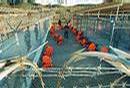 _theblogtribune_com_wp-content_uploads_2005_12_guantanamo.jpg