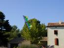 freedom2000_free_fr_freedom_files_freedom_2.jpg