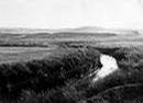 water_montana_edu_watersheds_mwcc_images_muddycreek_muddycreek1936Sm.jpg