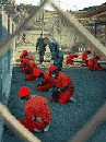 _bobfromaccounting_com_1_25-02_prisonerstalibanlarge.gif