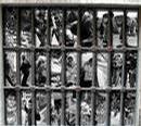 _ofek_com_art_prisoners_of_zion_1.sq.jpg