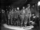 _rothcpa_com_archives_misc_prisoners.png