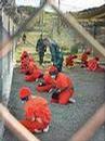 varifrank_com_images_guantanamo_prisoners.jpg