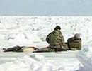 _cbc_ca_gfx_pix_seal_hunt030616.jpg