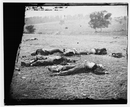 bias_blogfodder_net_archives_archive_photos_Federal_soldiers_McPherson_Woods_1863_smaller.bmp