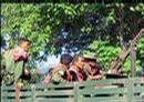 eur_news1_yimg_com_eur.yimg.com_xp_afpji_20060515_060515025035.9clen1nr0_myanmar-soldiers-patrol-through-the-dusty-tracks-ob.jpg