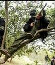 _israellycool_com_monkey_terrorists_AFP.jpg